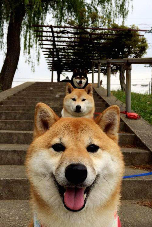 篮球之夜的双重奏，鹈鹕惊天逆转公牛，王哲林刷新纪录闪耀赛场