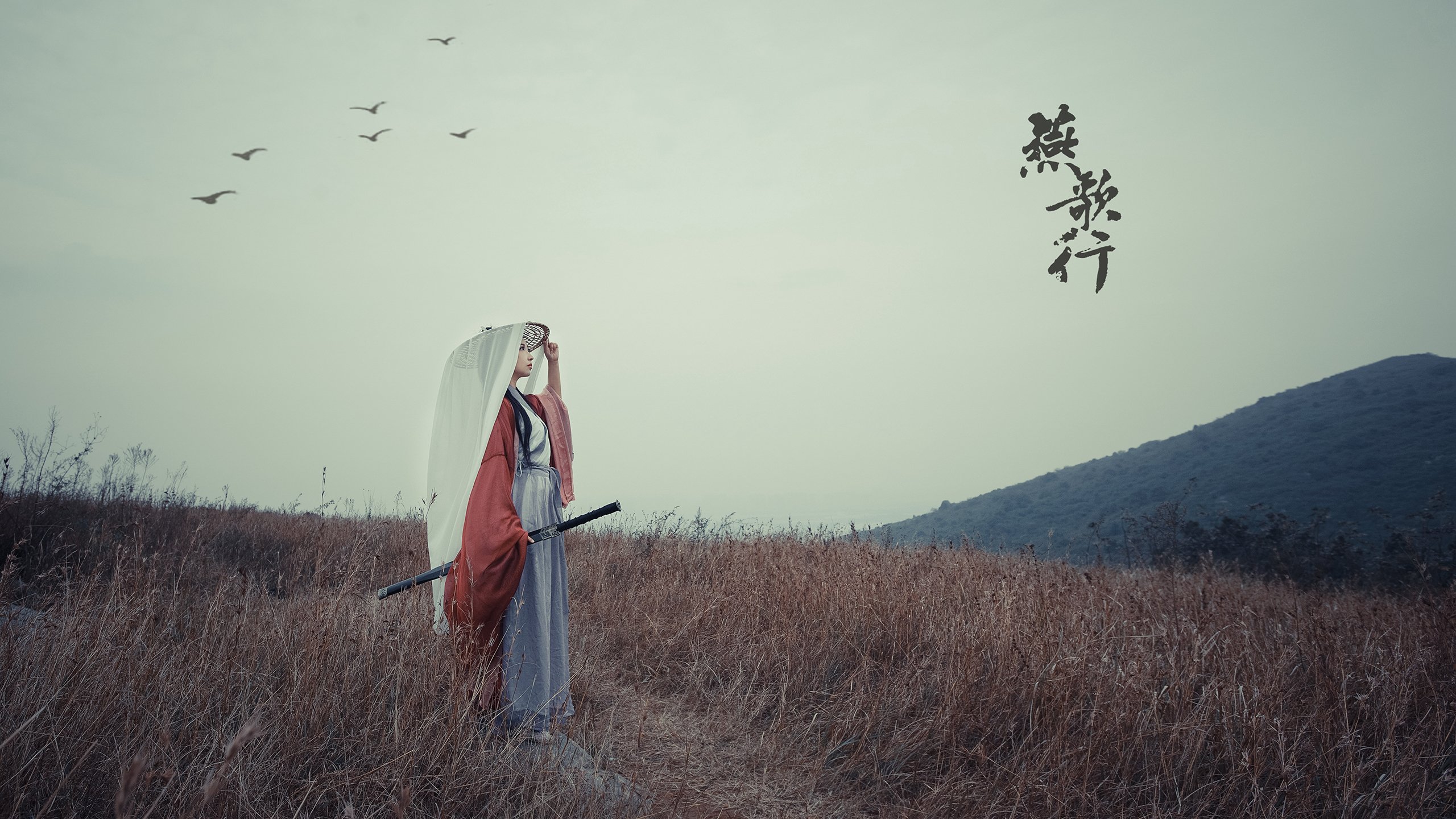 内燃机黄昏的狂想曲，红牛二队碾压梅奔之夜，诺里斯如何画下未来图腾