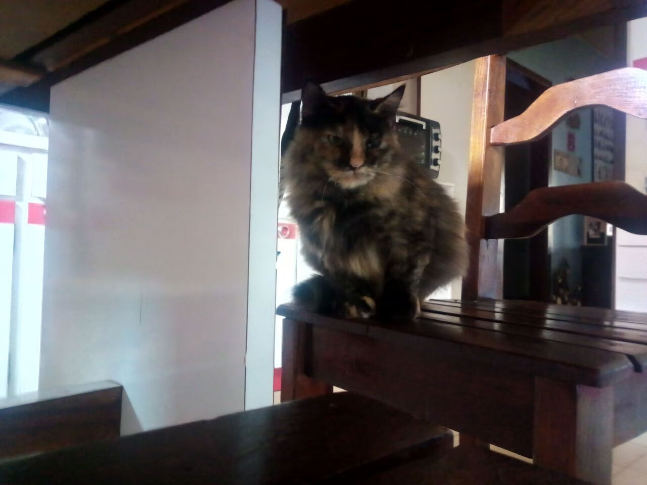 江畔对决，浓眉杭州制胜定律，快船力克浙江的三重启示