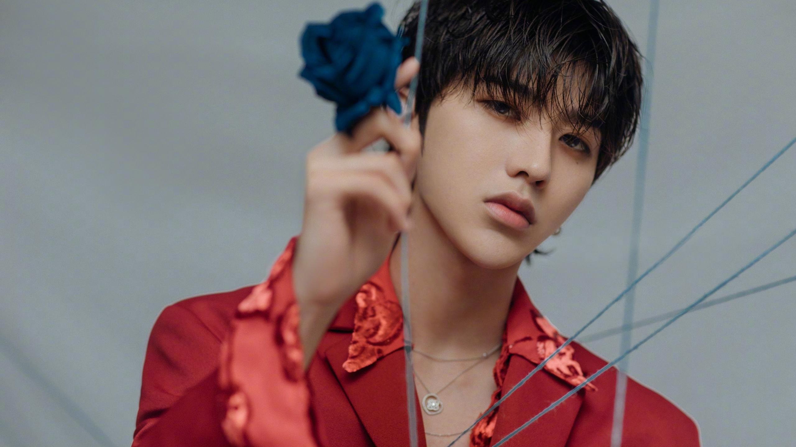 红狼绽放,远射破局,阿劳霍惊世一击主导意甲焦点战