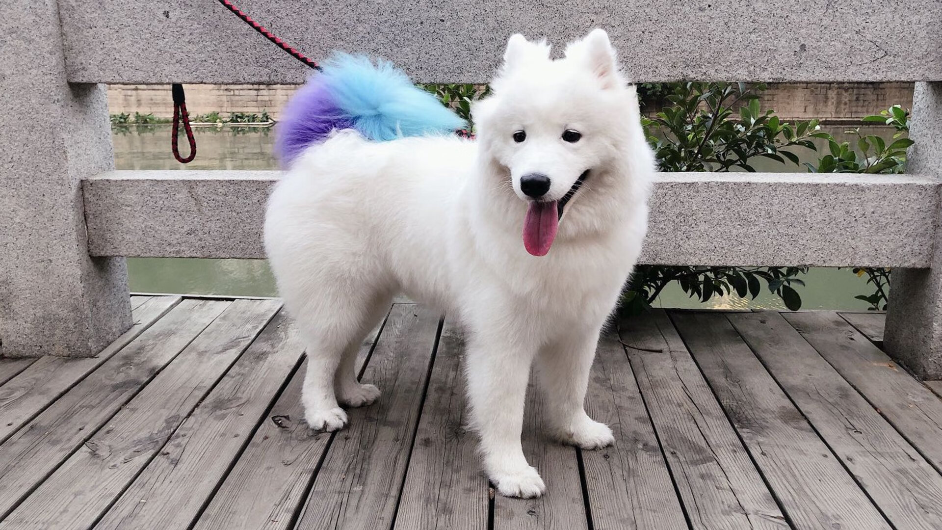 黄喜灿引爆雷恩逆转之夜，补时绝杀震惊法甲