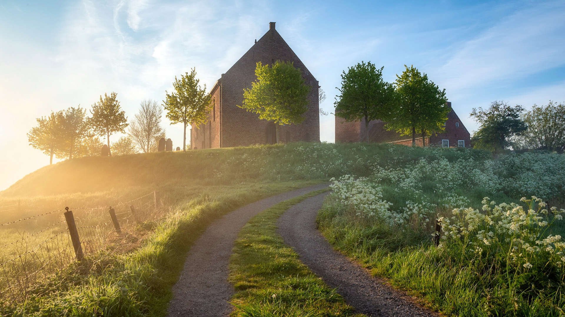 当哨声成为枪声,塞内加尔足球的黄昏,与一个幽灵的归位