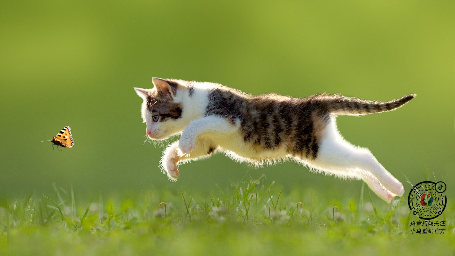 雪山终燃蓝色海岸，瑞士决胜局力克那不勒斯，伊萨克三度点燃圣保罗