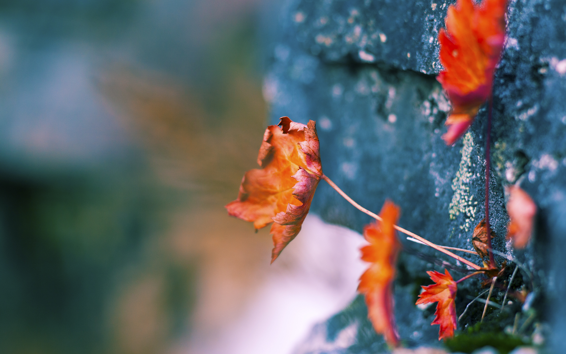 终场蜂鸣，起跑线前，当竞技瞬间定义永恒