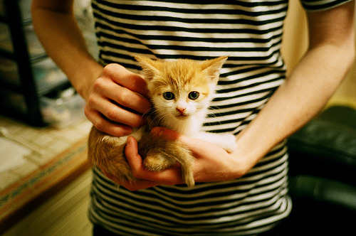 从马赛奇迹到世界之巅，大卫·拉亚如何用一场压哨胜利点燃2026世界杯