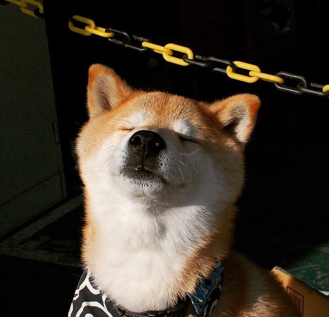 凌波微步与屠龙记，当布鲁诺的独舞照亮毕尔巴鄂的冷夜