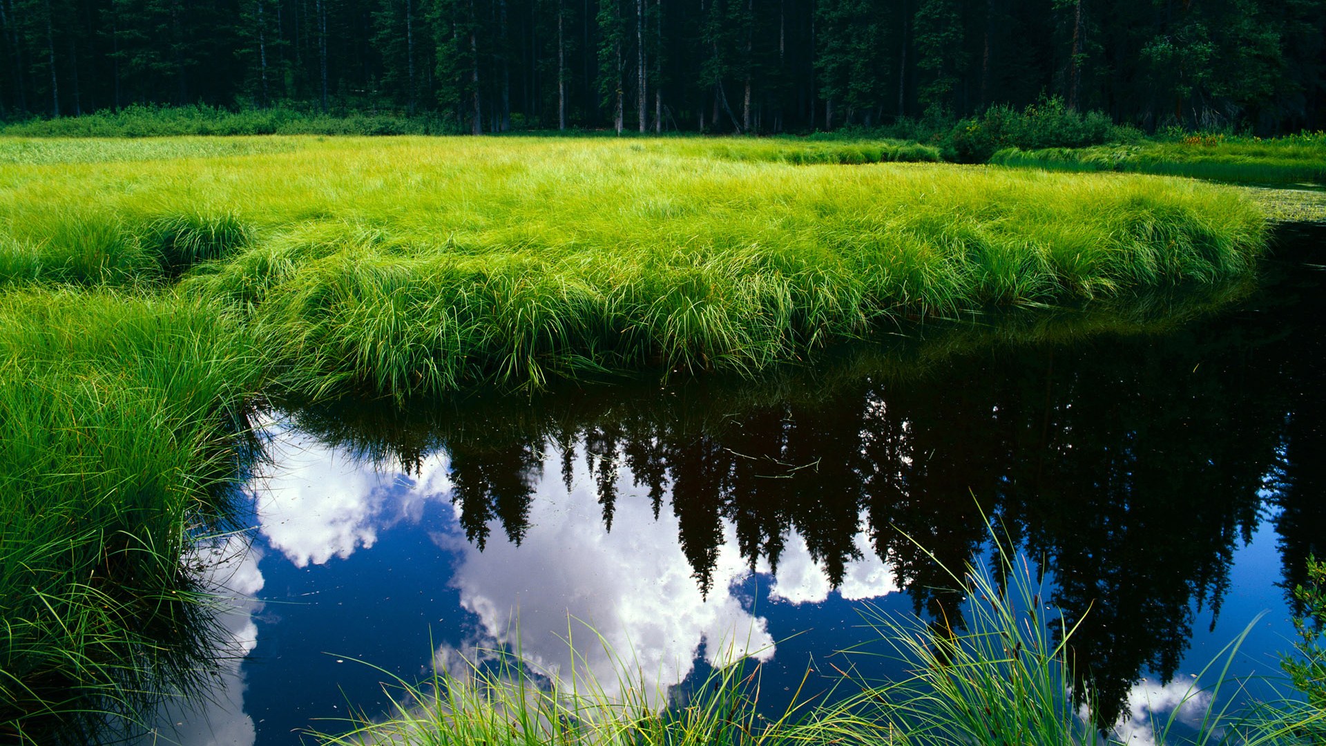 唯一的夜晚与不朽的传承，当喀麦隆绝境逆袭，本泽马刺破时光