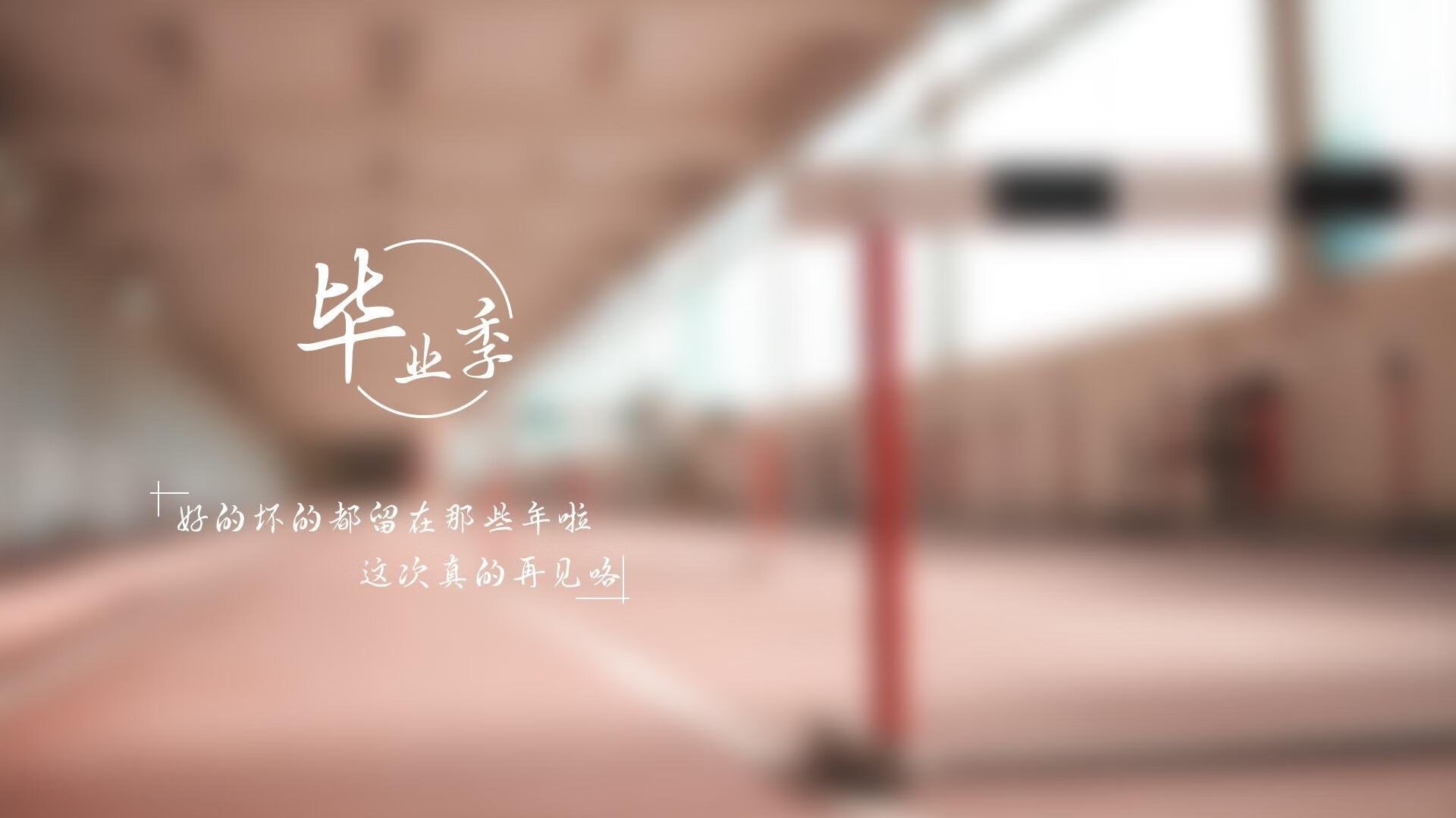 致命一击的月光,当萨内将2026世界杯D组的夜晚刻成永恒