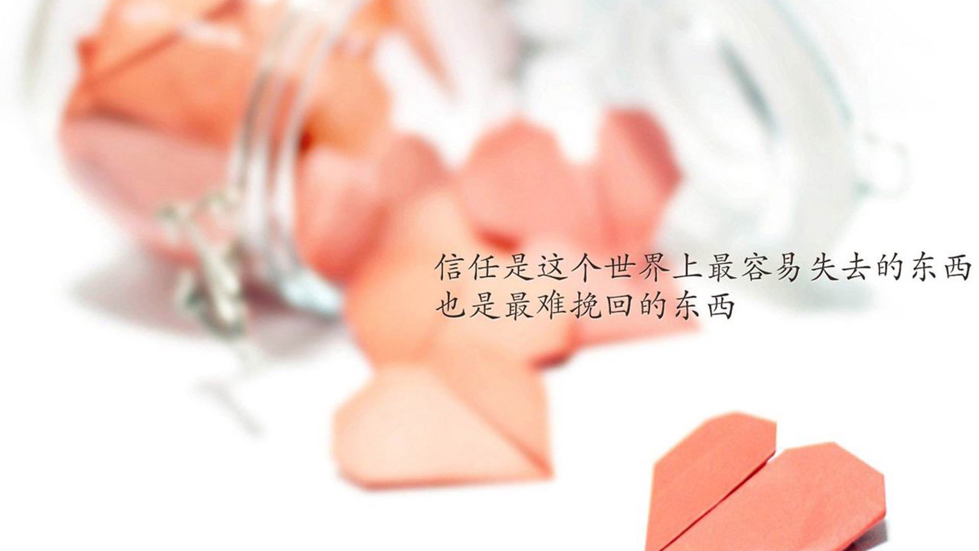 逆转与横扫，2026世界杯最戏剧性一夜，厄瓜多尔掀翻荷兰，范戴克完成宿命一击