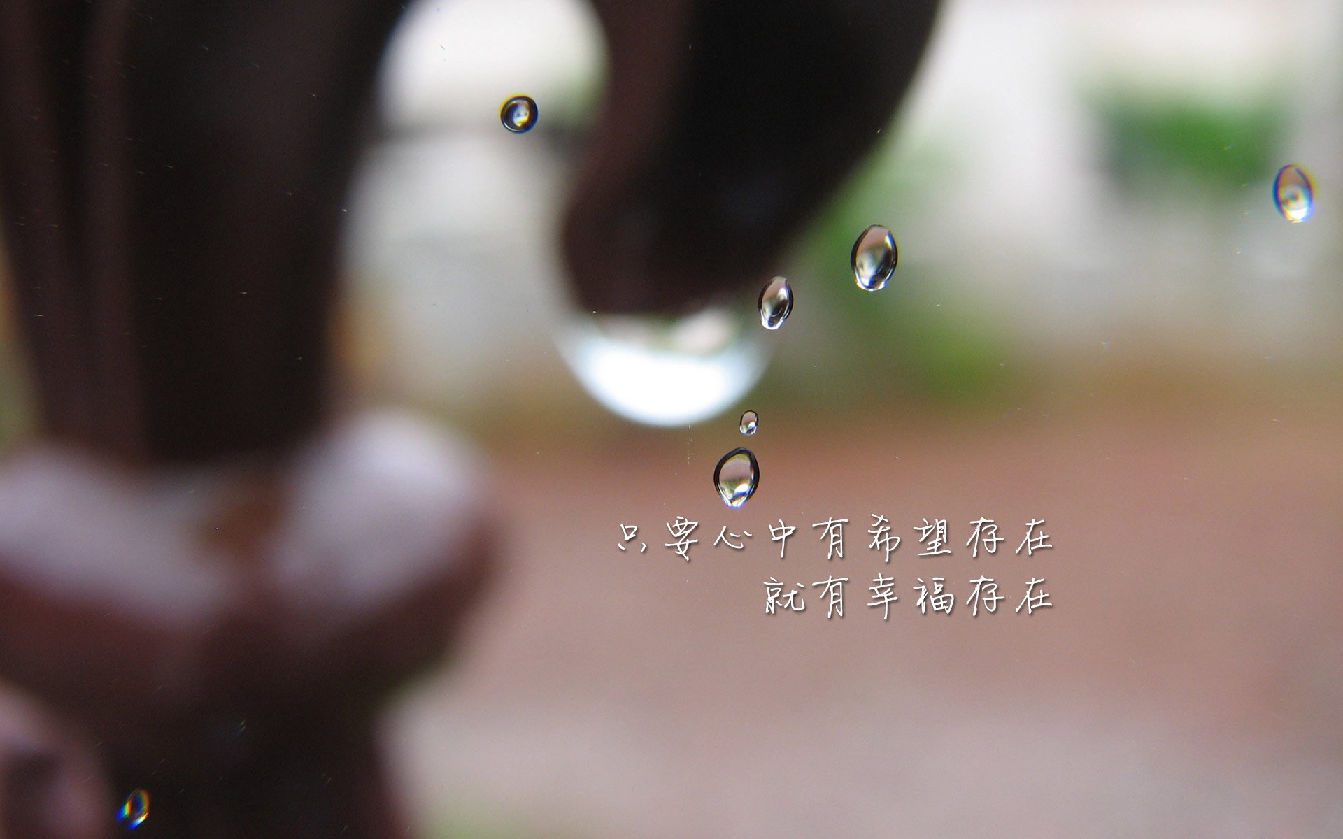 逆转之王,卢卡库导演世界杯B组生死战,喀麦隆用10分钟击碎厄瓜多尔32年梦想
